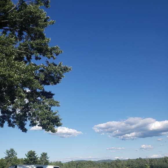 Meet your Posher, Tanya - Picture 1 of 1